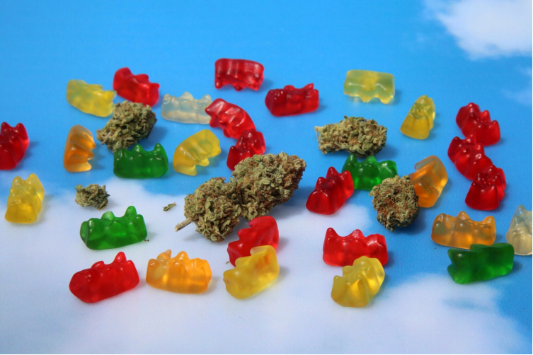 “Can delta 8 edibles get you high?” Find the answer to the commonly asked question