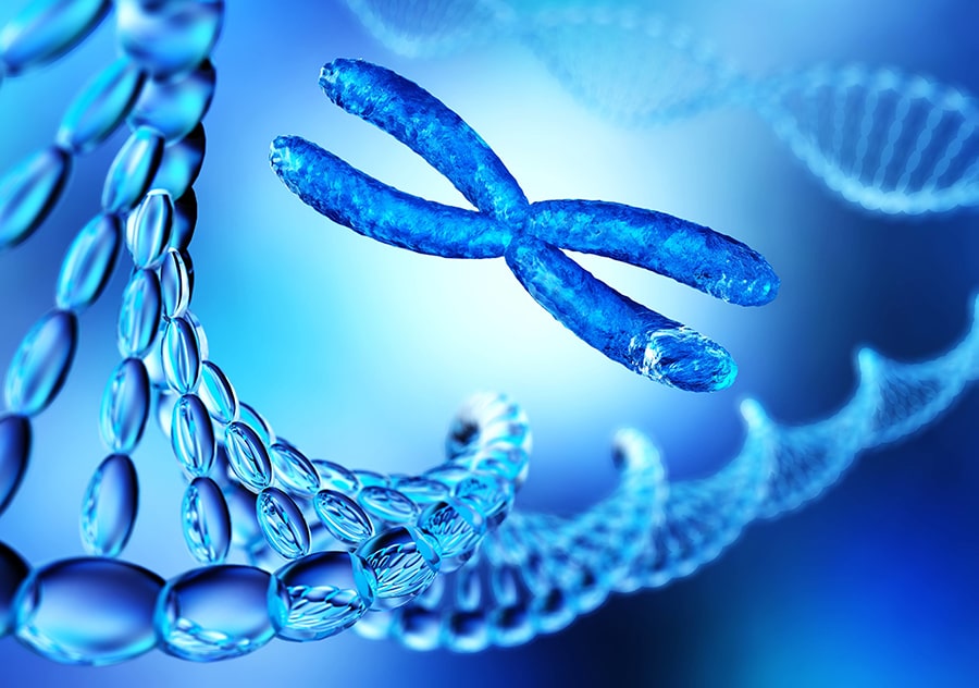 The Complete Process Of Business Epigenetic Testing For A Healthier Lifestyle