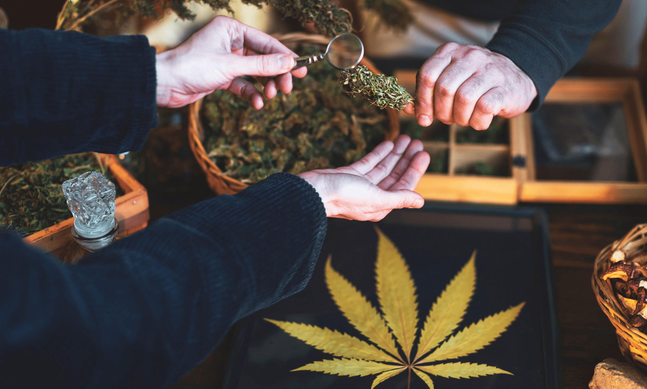The Fundamentals of a Cannabis Store