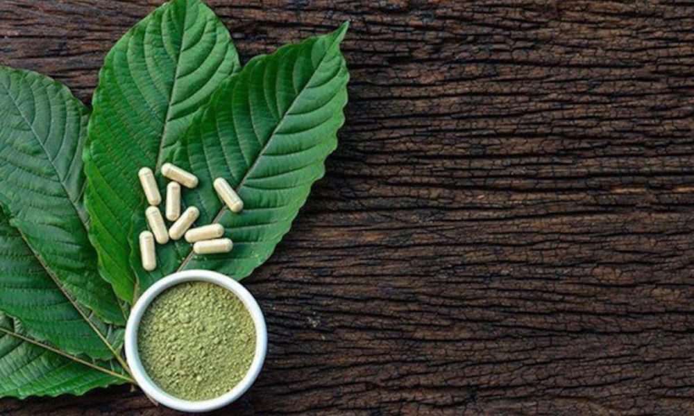 Kratom powder vs Capsules – Which is better?